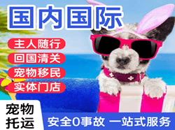 观音航空快运国际宠物托运 【国